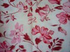 /album/fotogallerij/roze-rode-bloemen-op-witte-achtergrond-jpg/